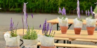 Jak zaprosić kogoś do współpracy?