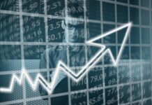 Na czym polega kariera zawodowa? Na czym polega kariera zawodowa?