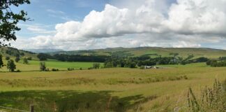 Jak polecić? Jak polecić?