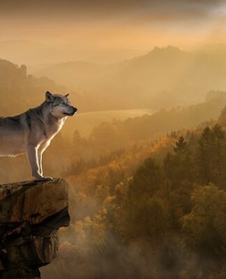 Co jest kluczowe w podczas tworzenia i realizowania osobistych planów kariery?