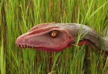 Jak się odmawia wierzę w Boga?