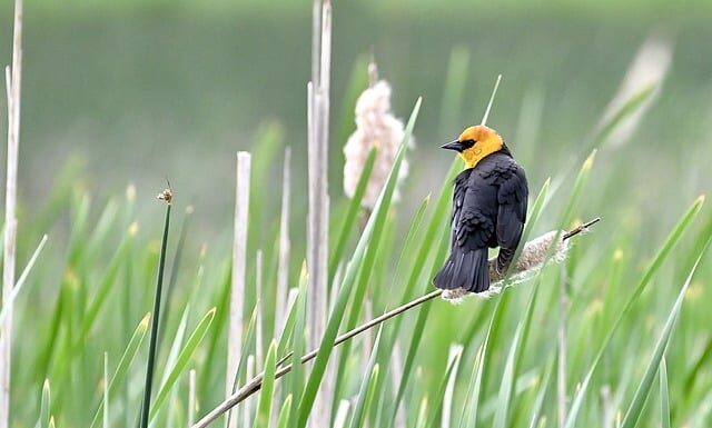 Jakimi wartościami się kierujesz w życiu?
