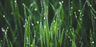 Jak wyrobić poranna rutynę?