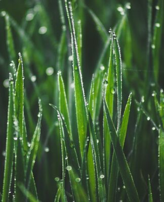 Jak wyrobić poranna rutynę?