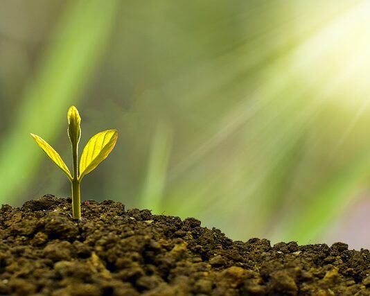 Jaki rozwój osobisty? Jaki rozwój osobisty?