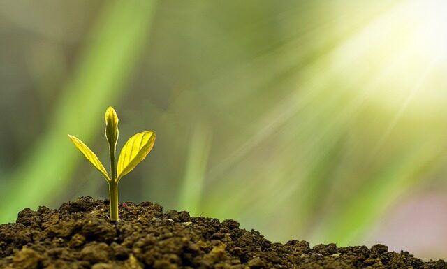 Jaki rozwój osobisty?