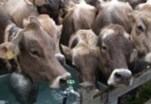 Jak zachęcić klienta do powrotu? Jak zachęcić klienta do powrotu?