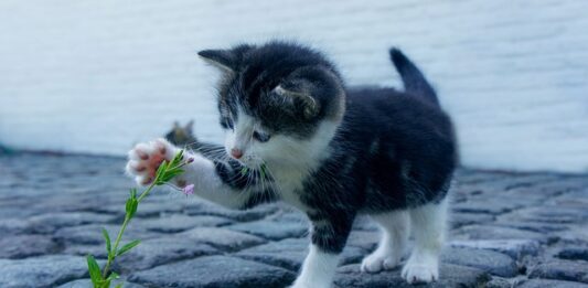 Co jest istotne w kontakcie i budowaniu relacji z klientem? Co jest istotne w kontakcie i budowaniu relacji z klientem?