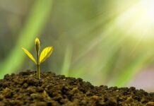 Jak zaplanować rozwój zawodowy? Jak zaplanować rozwój zawodowy?