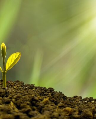 Jak zaplanować rozwój zawodowy?