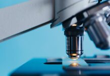 Czy na biotechnologii jest dużo biologii? Czy na biotechnologii jest dużo biologii?