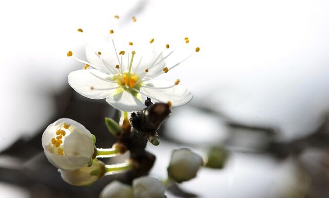 Dlaczego nie dostaję ofert na LinkedIn?