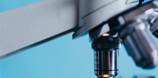 Jak wygląda praca po biotechnologii?