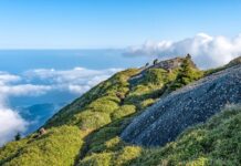 Jaka jest różnica między kompetencjami a umiejętnościami?