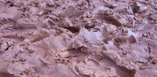 Jak dysponować budżetem domowym?