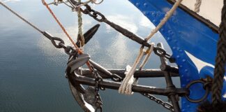 Co to są kotwice kariery?