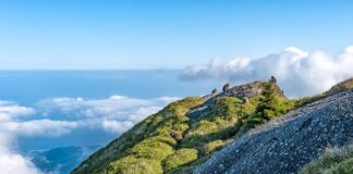 Na czym polega SMMA?