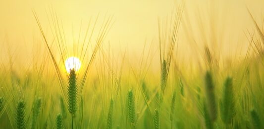 Jak się liczy gospodarstwo domowe? Jak się liczy gospodarstwo domowe?