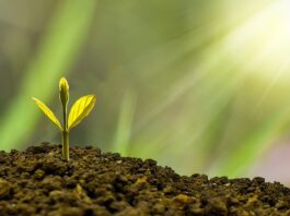 Jak planować swój rozwój? Jak planować swój rozwój?