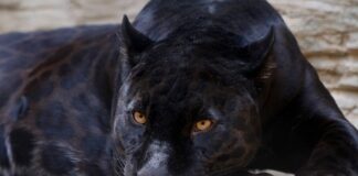 Jak zrobić dobrą ofertę?