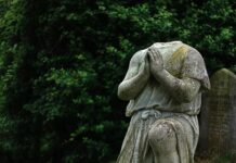 Jak kreować swój wizerunek eksperta?