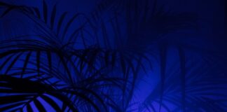 Co to jest PP w liceum? Co to jest PP w liceum?