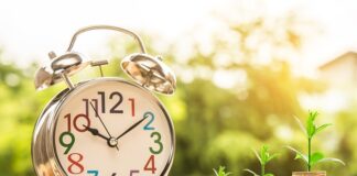 Czy po zarządzaniu można uczyć podstaw przedsiębiorczości?