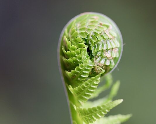 Jak rozwijać się muzycznie?