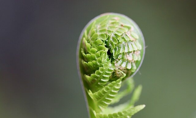 Jak rozwijać się muzycznie?