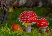 Kiedy związek jest toksyczny? Kiedy związek jest toksyczny?