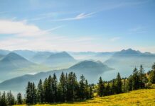 Czy komornik może zająć bitcoina? Czy komornik może zająć bitcoina?