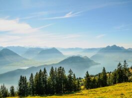 Czy komornik może zająć bitcoina? Czy komornik może zająć bitcoina?