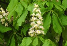 Czy można zdać maturę w 2 klasie liceum? Czy można zdać maturę w 2 klasie liceum?