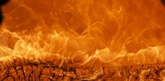 Czy marka ma znaczenie dla klientów? Czy marka ma znaczenie dla klientów?