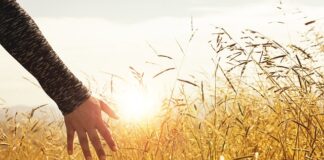 Na co należy zwrócić uwagę planując ścieżki karier pracowników?