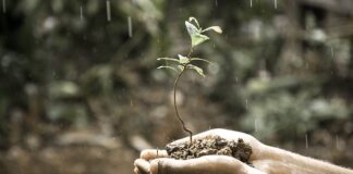 Co to jest rozwój pracowników? Co to jest rozwój pracowników?