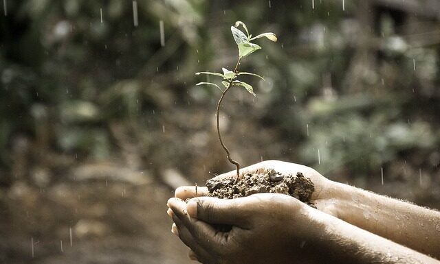 Co to jest rozwój pracowników?