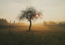 Kiedy bliską osobą rani?