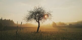 Kiedy bliską osobą rani? Kiedy bliską osobą rani?