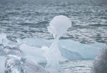 Jak mężczyzna patrzy na kobietę która mu się podoba? Jak mężczyzna patrzy na kobietę która mu się podoba?