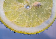 Jak złożyć PIT-8C?