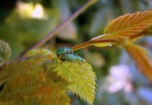 Jak stworzyć siebie na nowo? Jak stworzyć siebie na nowo?