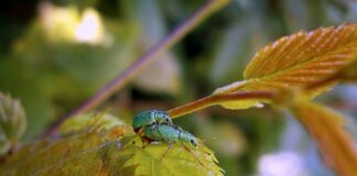 Jak stworzyć siebie na nowo?