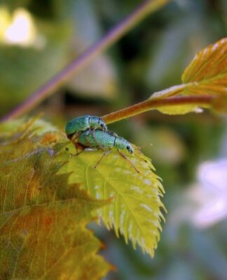 Jak stworzyć siebie na nowo?