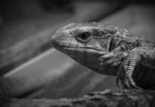 Jak można monitorować pracę w zespole?