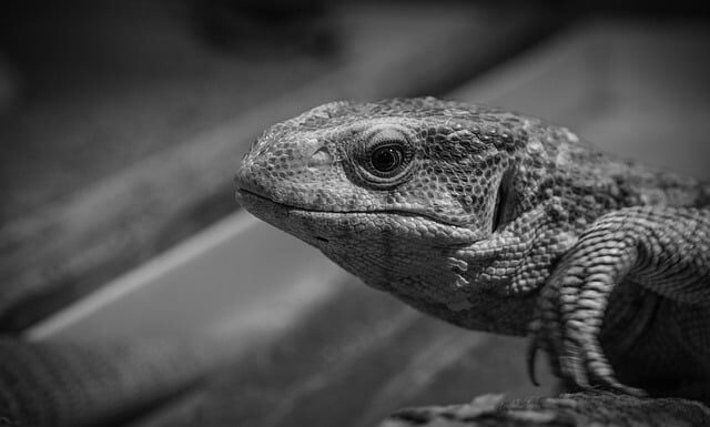 Jak można monitorować pracę w zespole?