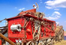 Jakich zawodów nie ma w Polsce? Jakich zawodów nie ma w Polsce?