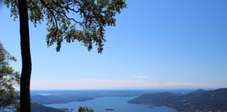 Czego nie powinien robić przełożony? Czego nie powinien robić przełożony?