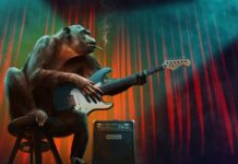 Jakie są etapy kariery zawodowej?