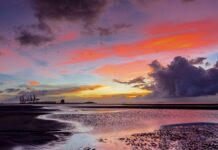 Jak wywołać efekt WOW u klienta? Jak wywołać efekt WOW u klienta?